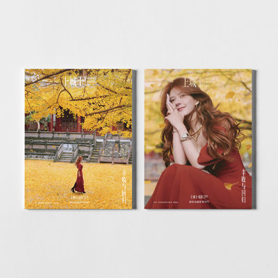 上城士 12月 赵露思 C版套装：A+B封面杂志+定制卡3张+复刻拍立得3张+明信片2张+切页4张 途中风物2025年十二月闭年/ELLE 时尚伊人