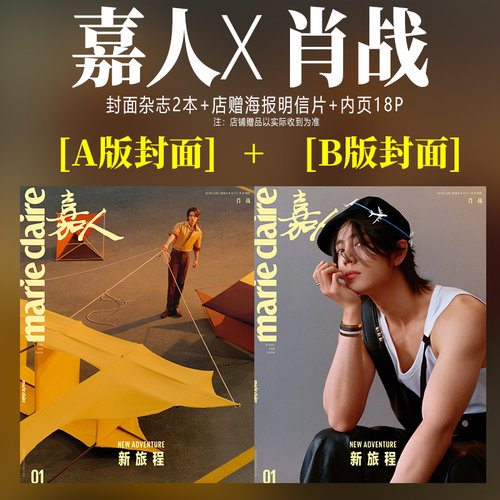嘉人开年刊肖战A/B2款