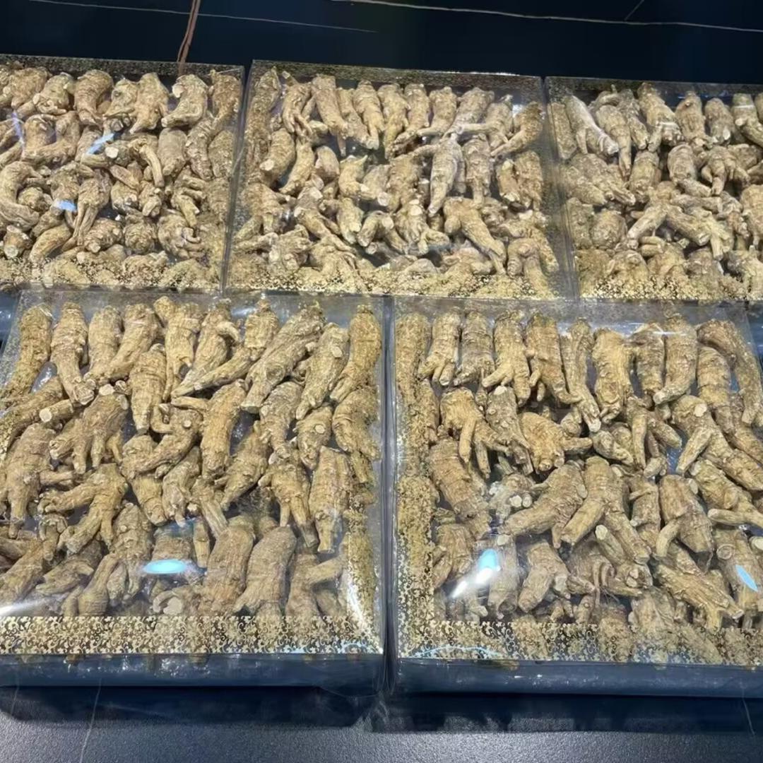 年份久实心大头老西洋参泡水