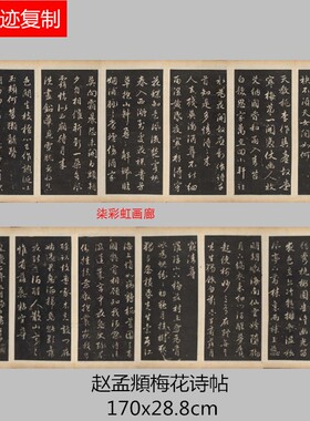 元赵孟頫行书梅花诗帖字帖书法
