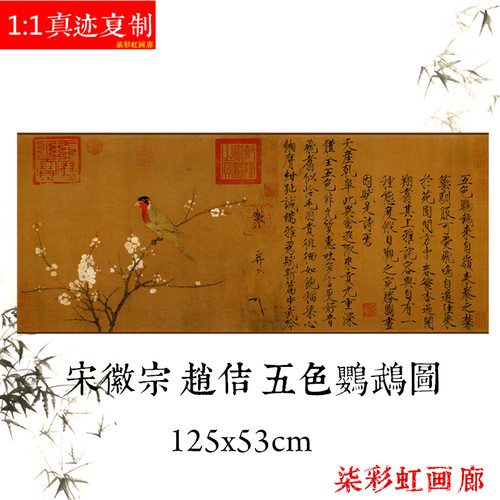 宋宋徽宗赵佶五色鹦鹉图原大高清工笔花鸟画复制品客厅卧室装饰画