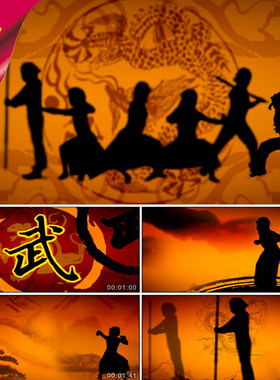 武术表演 南拳北腿 中国功夫 双截棍 武术剪影 剑术 视频素材