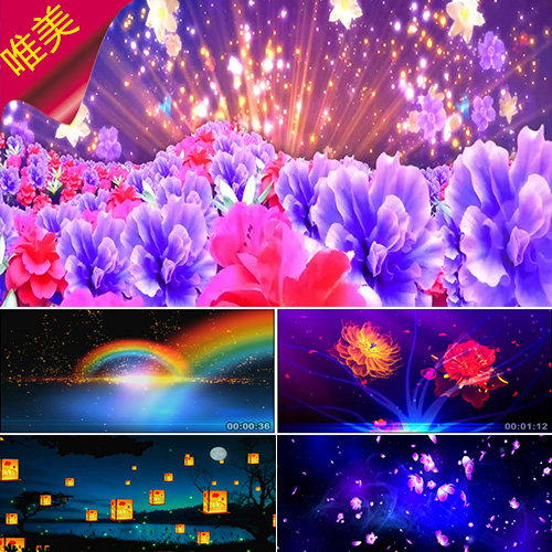 明天会更好 花海花开 彩虹桥灯笼  大合唱 年会晚会演出 视频素材