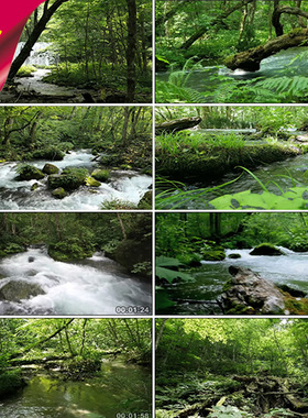 小溪水瀑布 水资源 绿色森林山间水流 矿泉水 大自然 视频素材