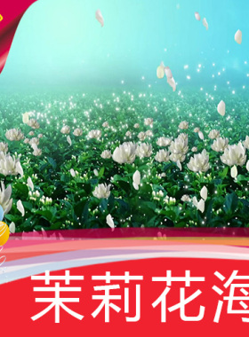 【茉莉花海】高清舞台LED背景视频素材定制作