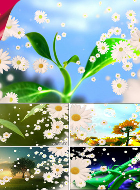 感恩的心 歌曲成品 励志小树生长 白色花朵 公益晚会 视频素材