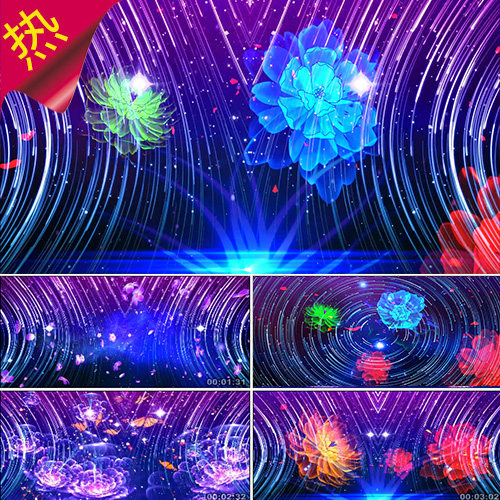年轮 歌曲成品 星空年轮花朵花开 夜空蝴蝶花瓣飘落 视频素材