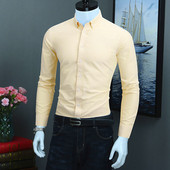 纯棉牛津纺长袖 衬衫 男士 2025新款 商务休闲衬衣高级感黄色潮流寸衫