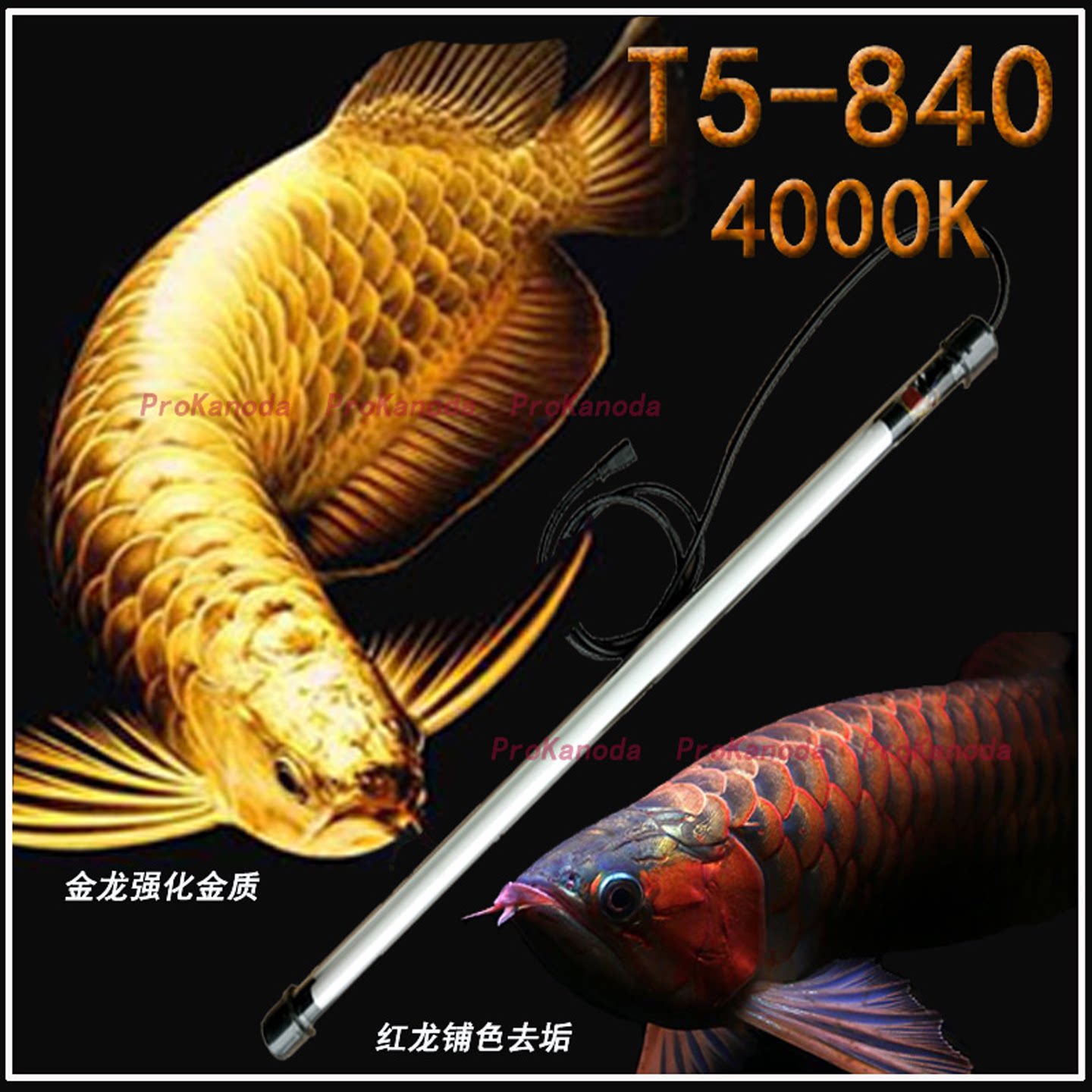 加强型T5金龙/红龙鱼发色烤色灯