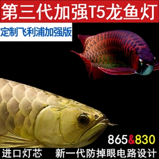 830潜水灯红龙发色灯自然光色 飞利浦865 T5龙鱼专用灯 定制加强版