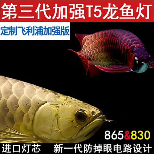 T5龙鱼专用灯/定制加强版飞利浦865/830潜水灯红龙发色灯自然光色 - 封面