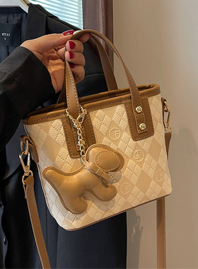 Clean Knоck今年流行小包包女2026新款百搭斜挎包小众手提水桶包