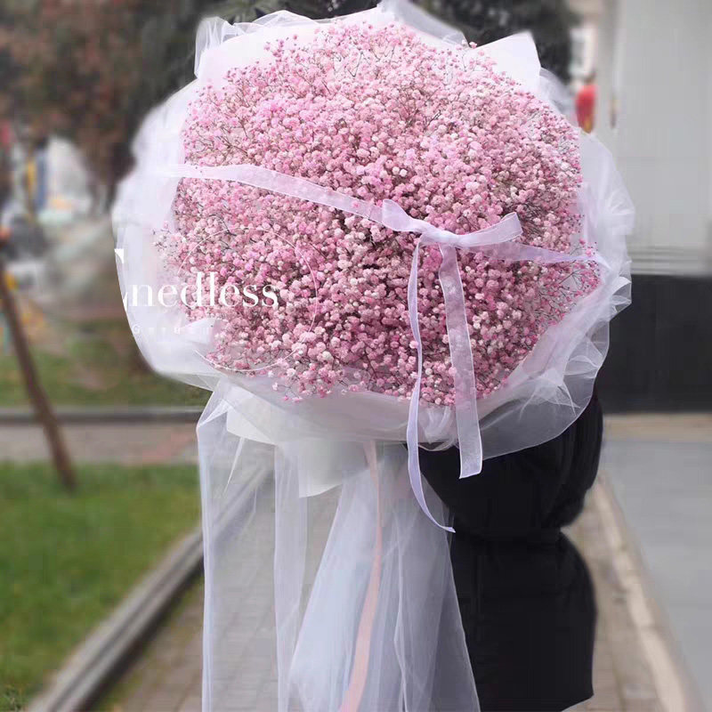 银川超大满天星同城速递爱人女友闺蜜生日表白鲜花干花束全国配送