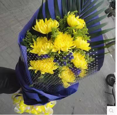 北京祭祀清明节扫墓上坟黄白菊花