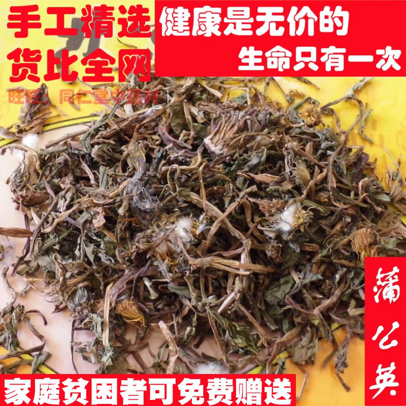 精选 50克 蒲公英 可打粉中