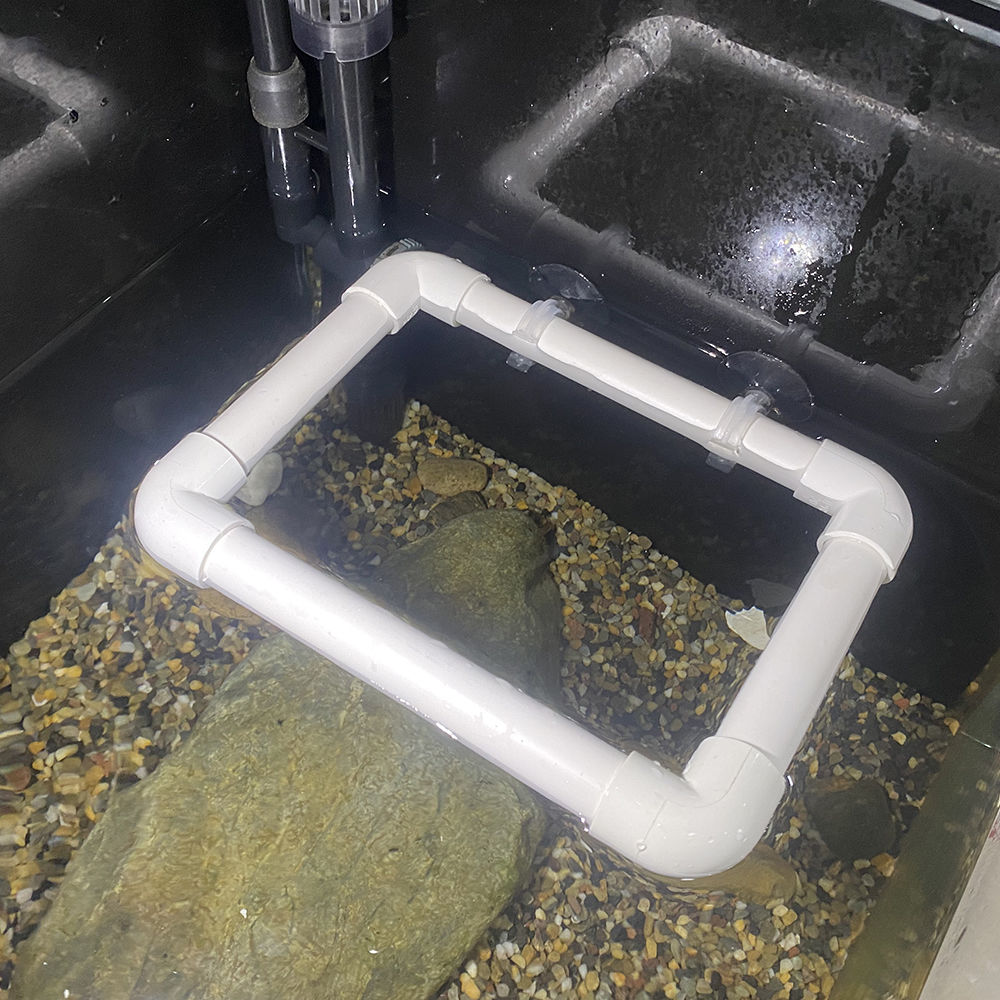 鱼缸喂食器浮萍阻拦器