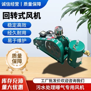 回转式鼓风机 低噪音污水处理一体化设备增氧曝气 回转式鼓风机