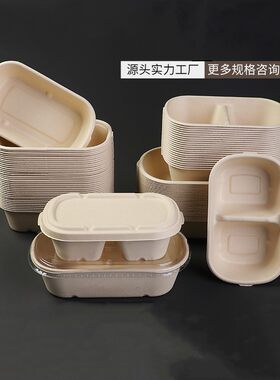纸浆一次性外卖可降解轻食餐盒
