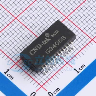 全新原装G2406S 贴片SOP-24 网络滤波器 网络变压器