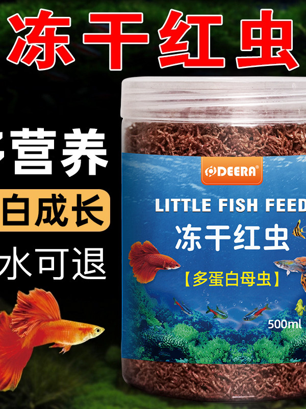 Red worm fish feed: Guppy, small fish, dried red worm, frozen fish feed, ornamental fish, tropical fish, fish food, betta fish freeze-dried thumbnail 4