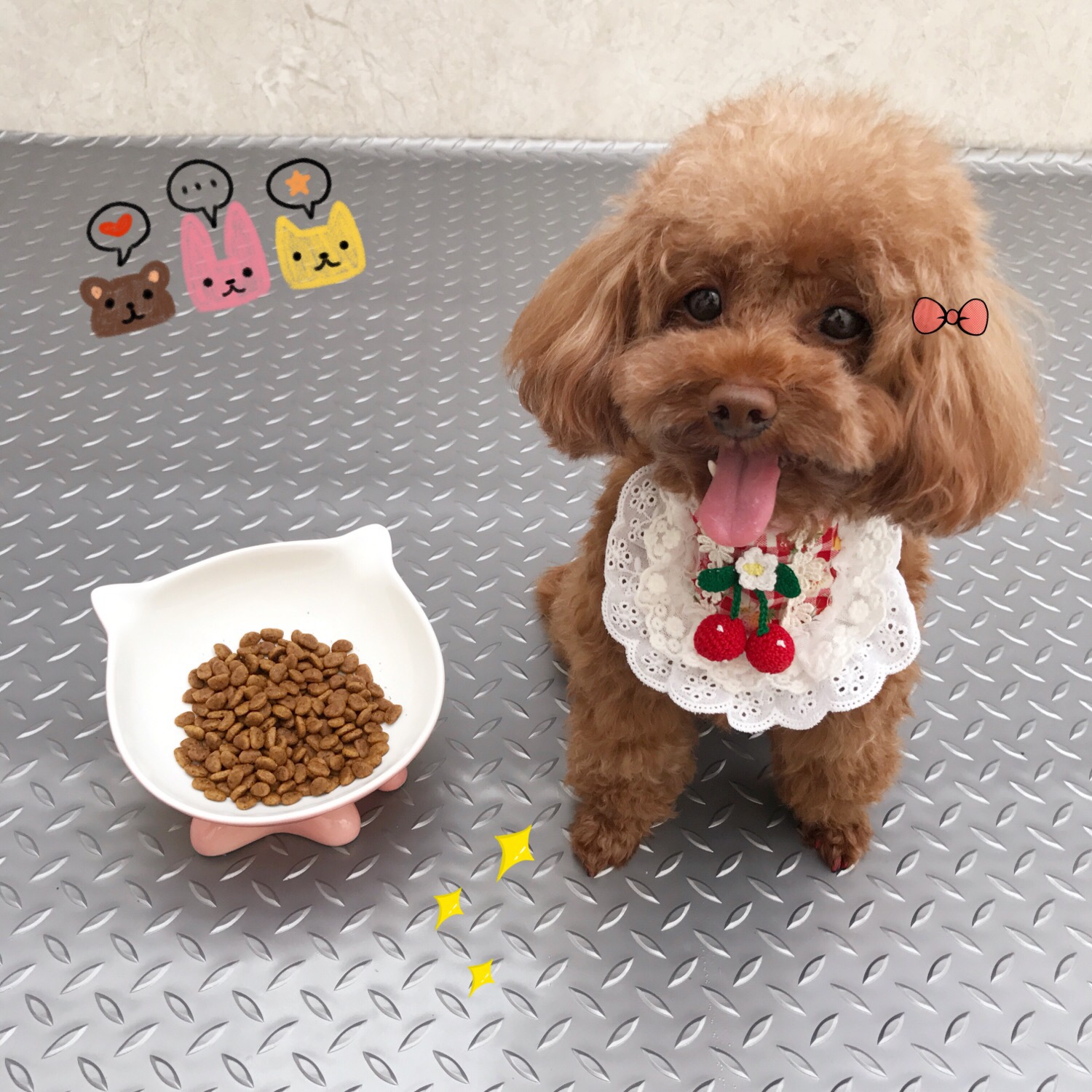 猫咪泰迪小Q猫碗美国vivipet斜口扁脸猫宠物猫盆食盆水碗法斗狗碗|msdalam kategori haiwan peliharaan/makanan haiwan dan bekalan, Cat/anjing harian, Bowl - dari Buy2taobao.com untuk memberikan perkhidmatan ejen Taobao profesional membeli