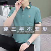雀绿色夏季 清凉冰丝简约休闲短袖 t恤男装 2024时尚 刺绣翻领polo衫