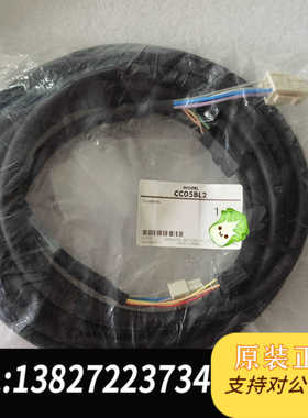东方CC05BL2