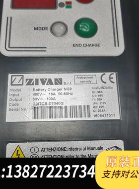 全新库存德国进口登高车,ZIVAN NG9 电动车充电器,电瓶全新议价