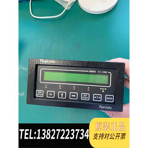 全新原装RAMSEY料位计 11-100-A-RCS，需询价