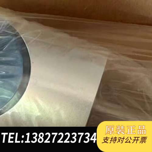 INFICON英福康真空计G025D，型号G025D需询价