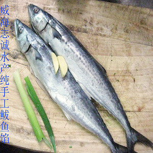 鲅鱼马鲛鱼  鲅鱼水饺  新鲜  威海鲅鱼   大鲅鱼  威海海鲜