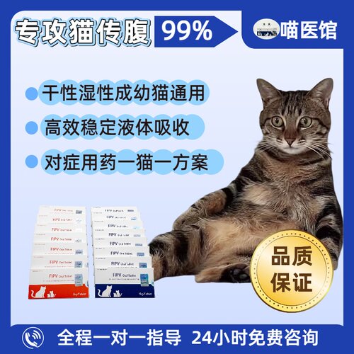 喵医馆猫传腹干性湿性喵咪传腹油剂针剂口服片剂腹水抑制剂fipv