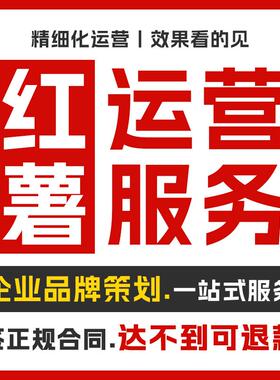 小红薯策划运营xhs书品牌服务推广营销代笔记IP爆款合作流量起号
