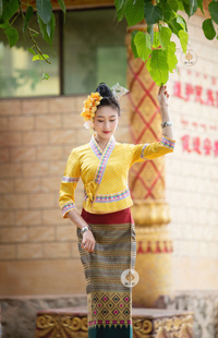 傣王妃服饰傣族传统复古女傣泐秋款中袖筒裙日常休闲工作旅拍节日