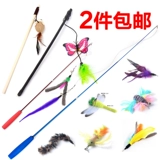 Кошка поставляет мыши, дразнящие кошачьи палочки могут выдвигать рыб