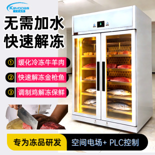 卡沃斯智能解冻柜电场缓化冰箱鸡羊牛排冻肉冷藏化冻柜嫩化解冻机