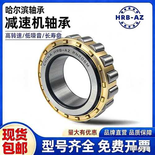 哈尔滨RN312M减速机偏心轴承