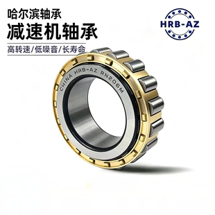 哈尔滨圆柱滚子轴承 RN206M 减速机电机专用轴承型号齐全工厂直发