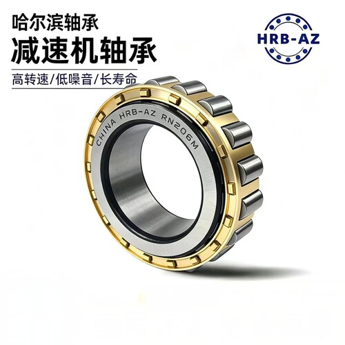哈尔滨RN206M减速机偏心轴承