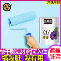 内墙乳胶漆室内墙漆刷墙家用粉刷自刷墙面漆白色彩色环保油漆涂料