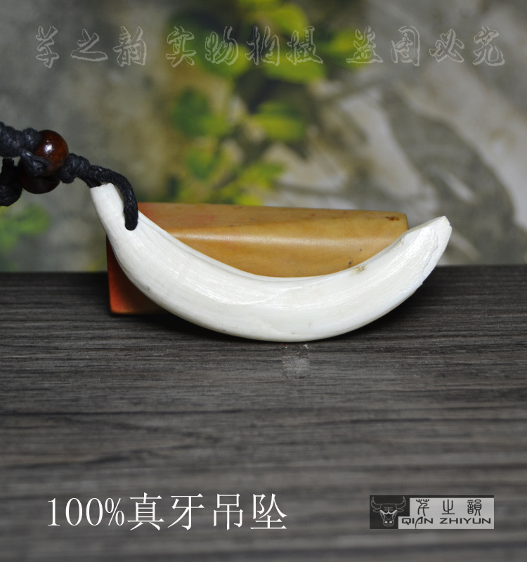 真品ye猪山猪獠牙精品天然民族项坠/吊坠