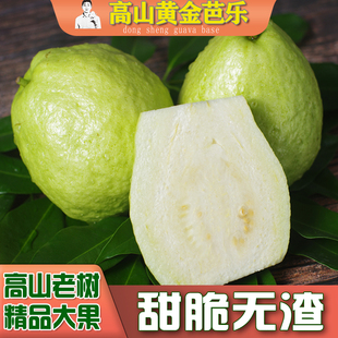 台湾黄金东生番石榴白心芭乐孕妇新鲜水果5斤大果整箱现摘包邮