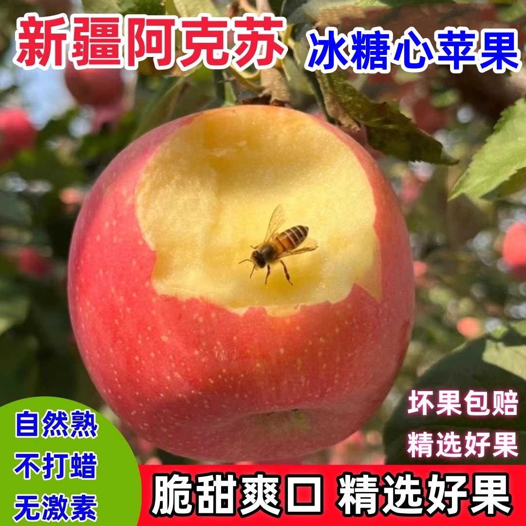 正宗新疆阿克苏冰糖心苹果