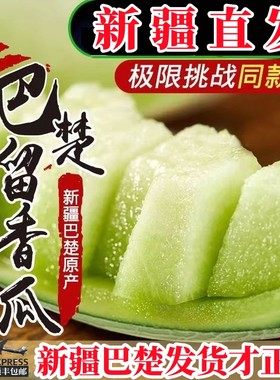 【官方优选】新疆留香瓜青帝蜜瓜