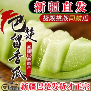 新疆巴楚留香瓜哈密瓜新鲜水果冰淇淋瓜沙漠网纹绿肉蜜瓜青帝蜜瓜