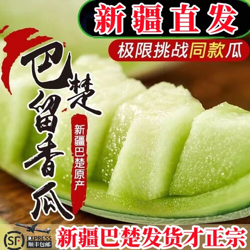 【官方优选】新疆留香瓜青帝蜜瓜