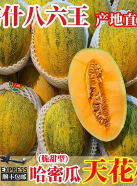 八六王哈密瓜新疆正宗86王原产地直发应季新鲜水果伽师黄皮瓜14斤