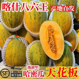 八六王哈密瓜新疆正宗86王原产地直发应季新鲜水果伽师黄皮瓜14斤