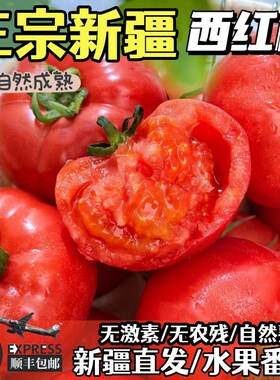 新疆普罗旺斯沙瓤西红柿假一赔十