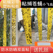粘蝇彩带去苍蝇贴条强力粘家用小飞虫灭杀神器诱饵蝇子纸板可悬挂